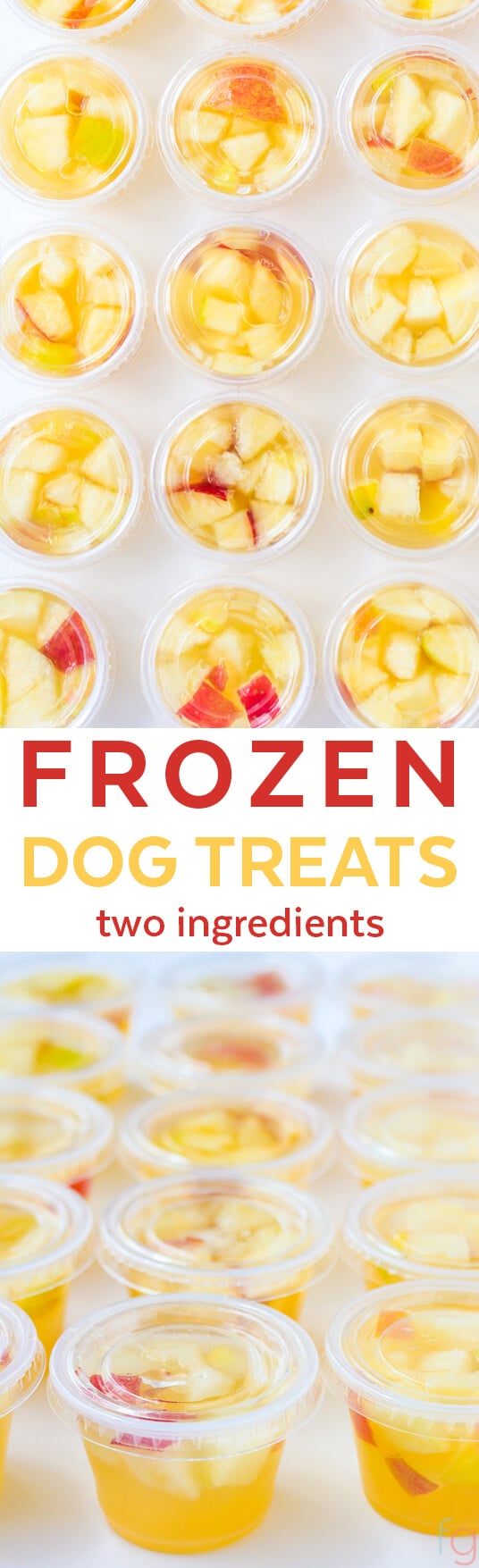 frozen chicken broth dog treats