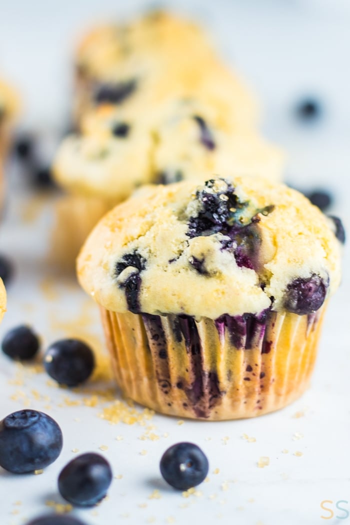 Blueberry Muffins Recipe from Scratch Easy Recipe!