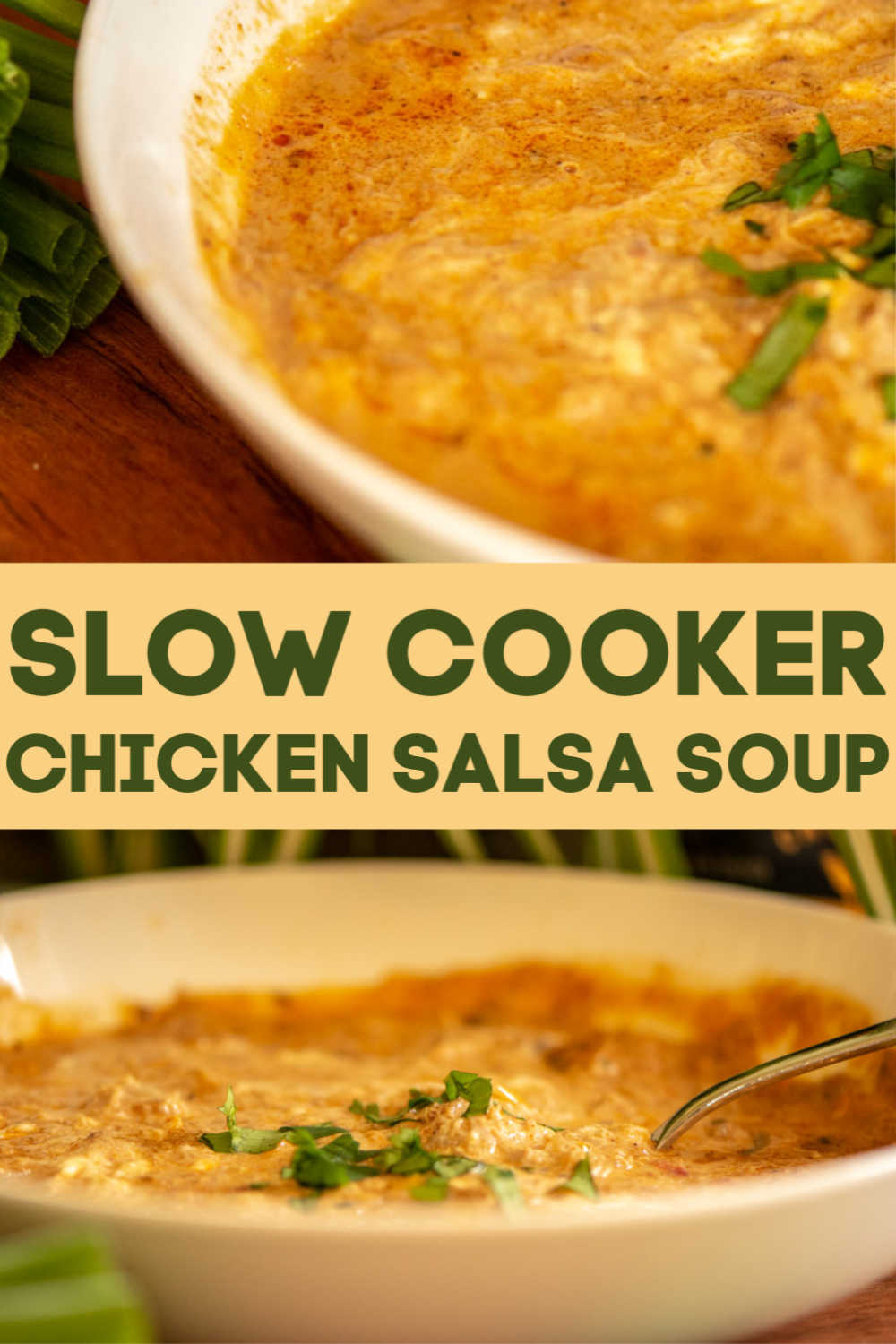 Slow Cooker Chicken Salsa Soup - Savor + Savvy