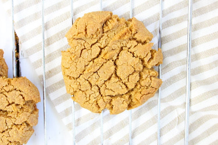 top down view of a sunflower seed cookie with a cream and white cloth under the cooling rack.