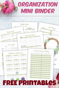 Free Mini Organizational Binder Printable 7 Page | Planner - Savor + Savvy