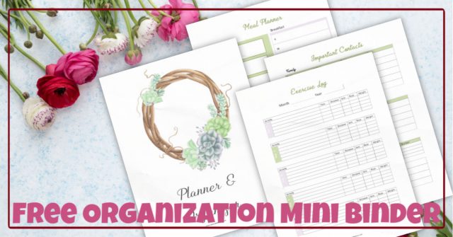 Free Mini Organizational Binder Printable 7 Page | Planner - Savor + Savvy
