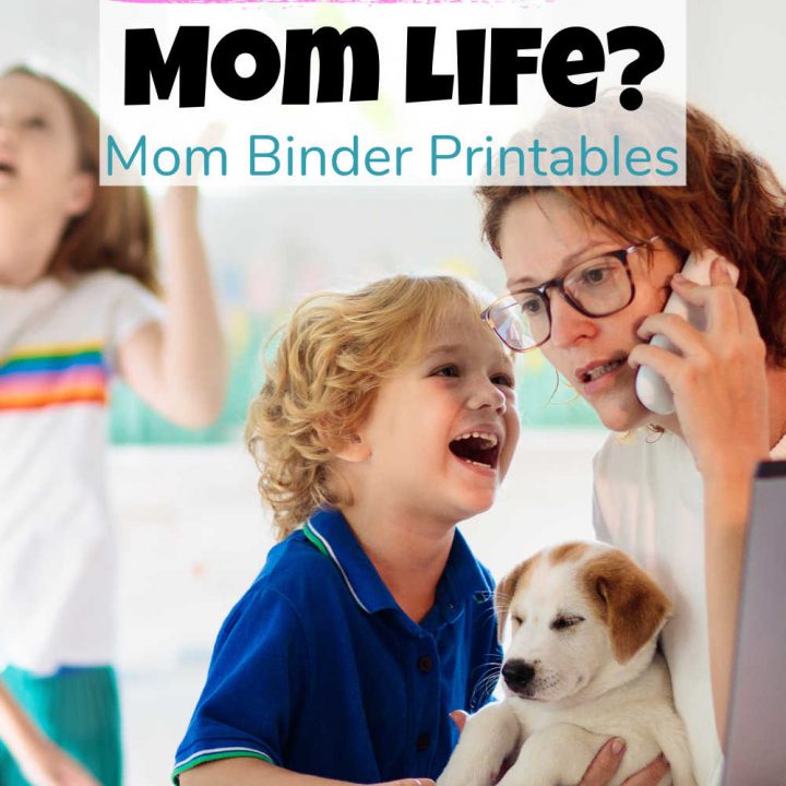 FREE Printable Binder Covers to Organize Your Life - Savor + Savvy