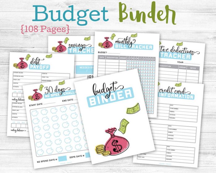 Free 9 Page Mini Budget Binder Printable - Savor + Savvy