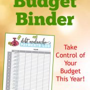 Free 7 Page Mini Financial Binder Printable - Savor + Savvy
