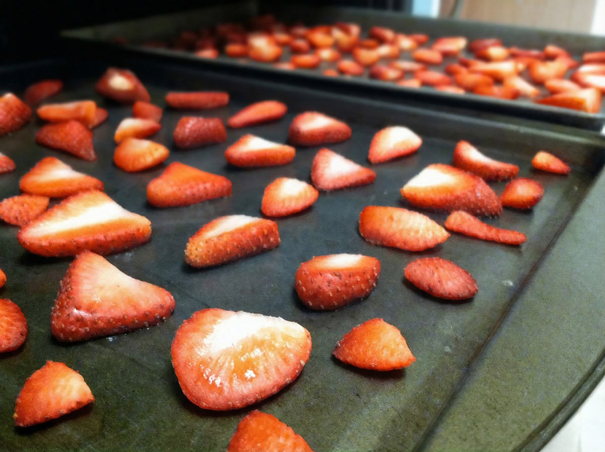 strawberry slices on sheet pans, partially dehydrated in the oven for one hour.