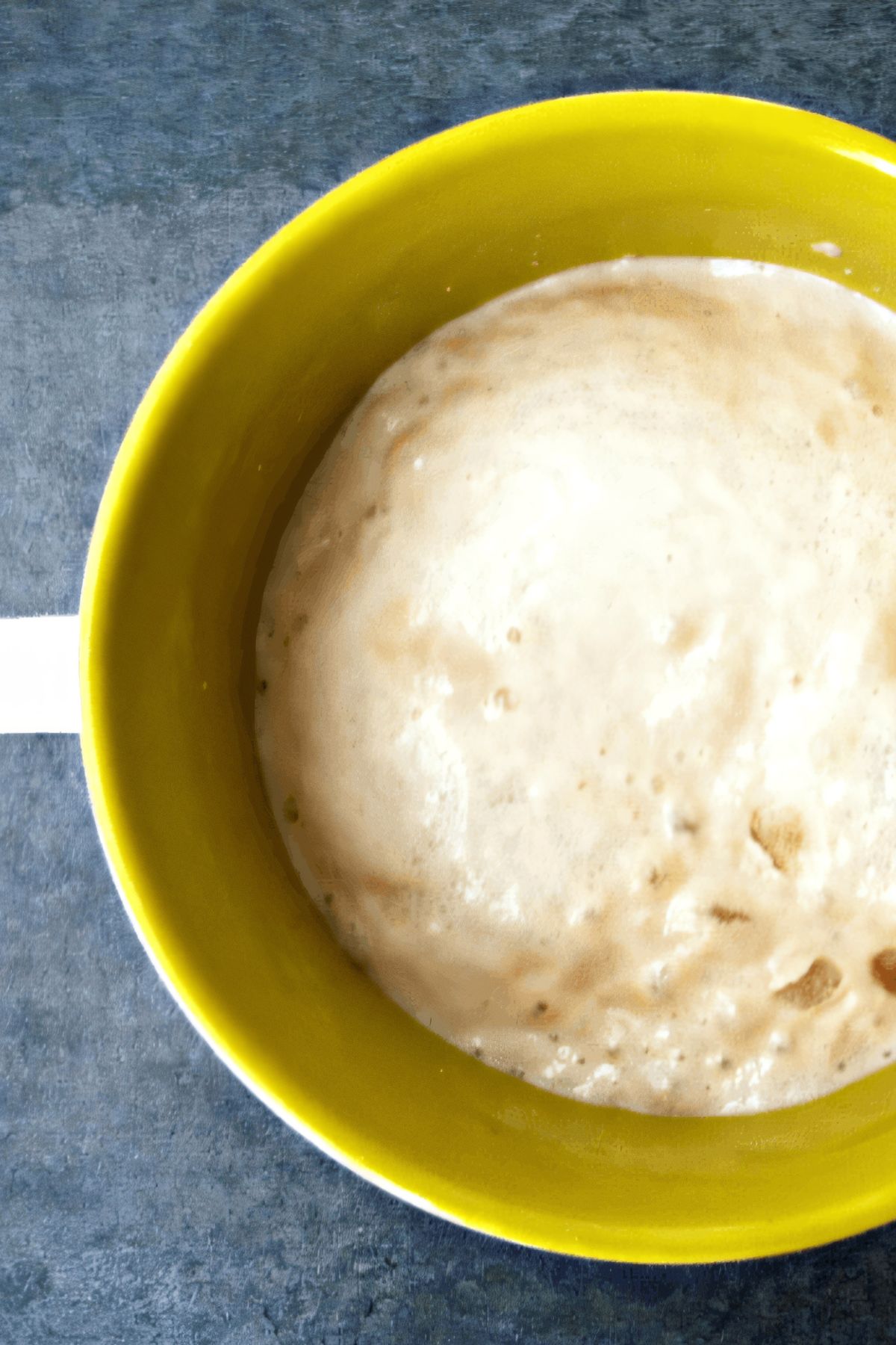 yellow cup filled with yeast and it is foamy showing that it is active and will help the bread rise.