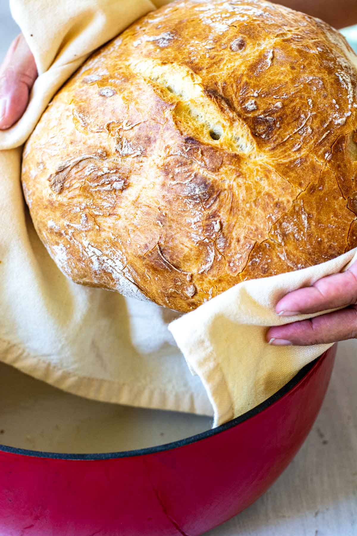 Dutch Oven No Knead Bread (with perfect crusty crust!) - Bowl of Delicious