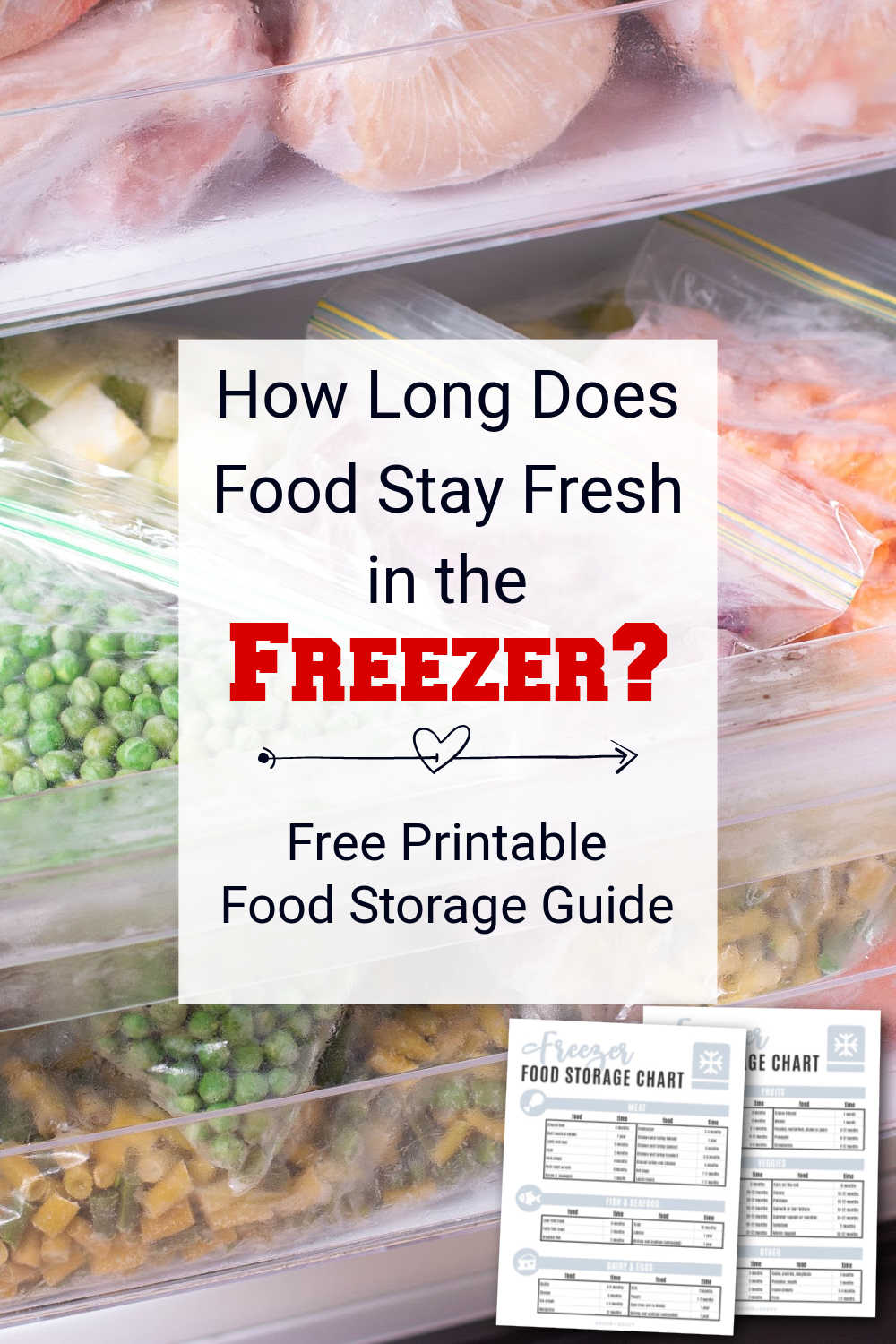 Free Editable Freezer Labels Printable - Savor + Savvy