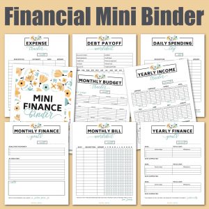 Free 9 Page Mini Budget Binder Printable - Savor + Savvy