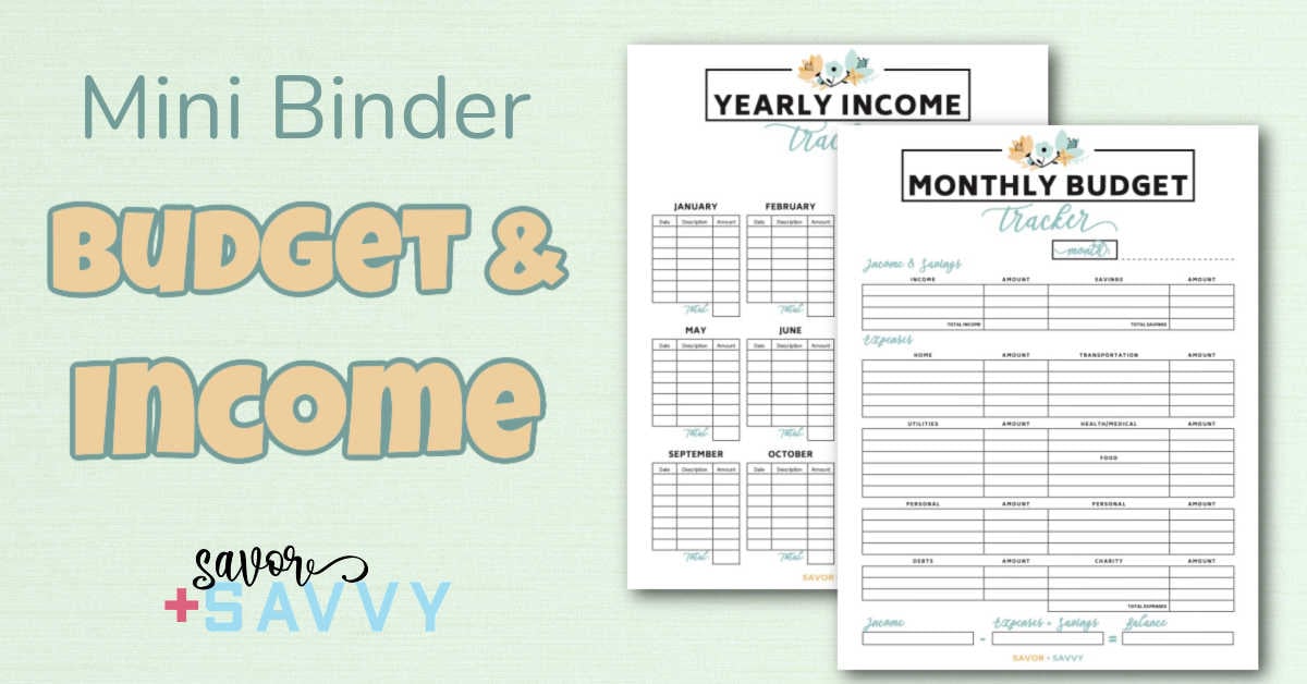 Mini Budget Binder  Free Printable Download