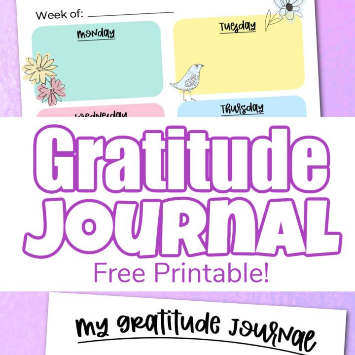 Daily Planner Printable Template - Savor + Savvy