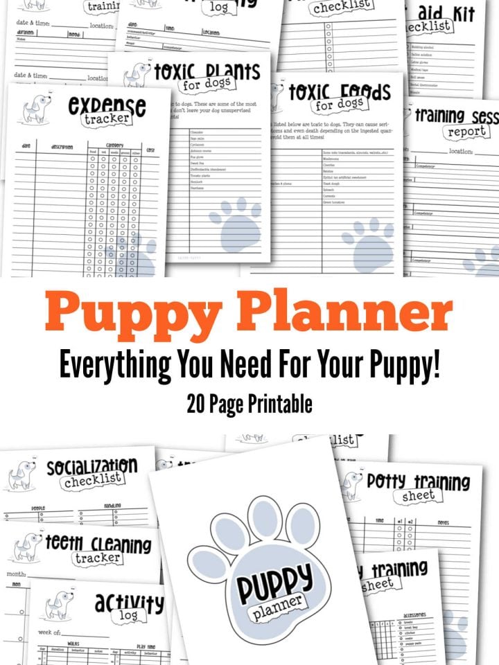 Free Printables To Help Organize Your Life and Decorate Your Home