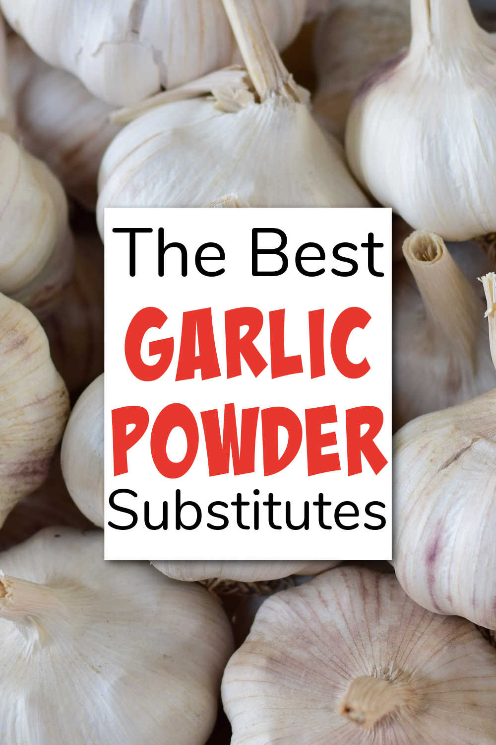 The Best Garlic Powder Substitute - Eating on a Dime