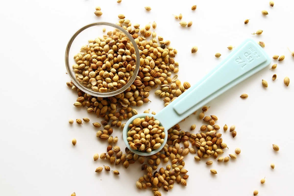 coriander seeds sprinkled on the table with a small plastic measuring spoon.