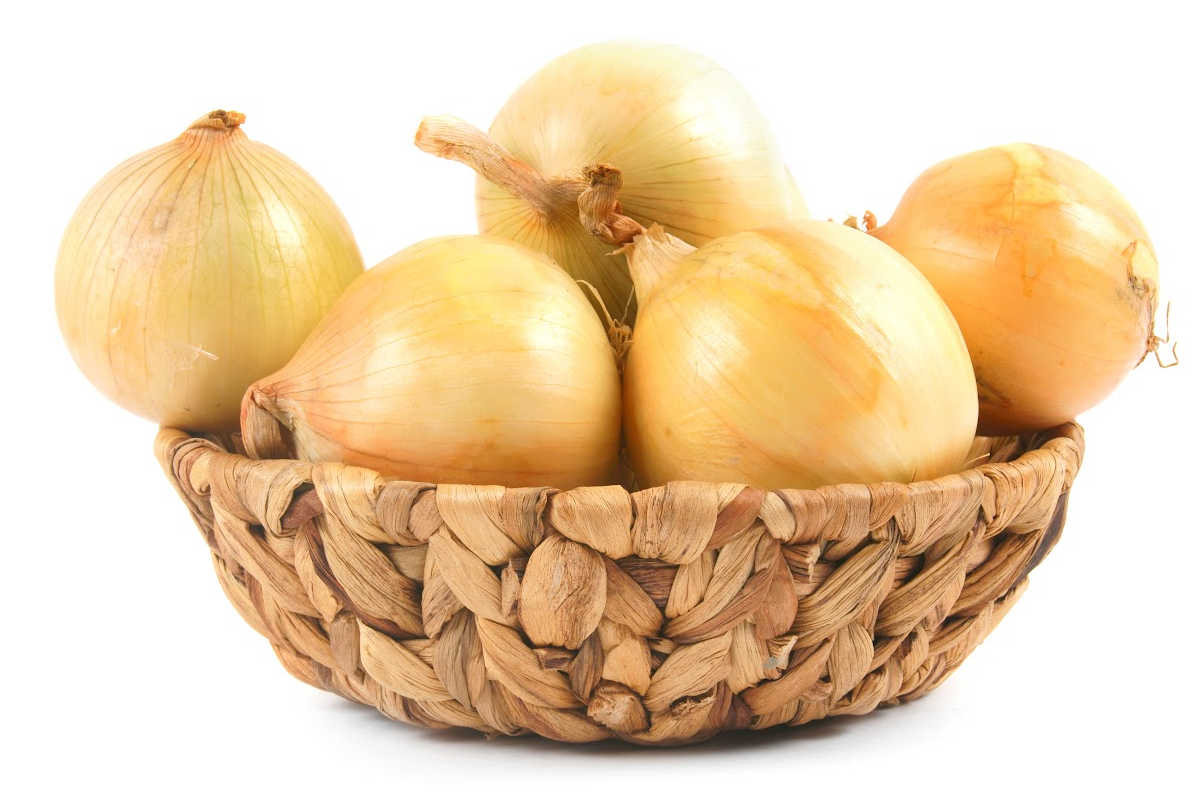 pile of yellow onions in a basket.