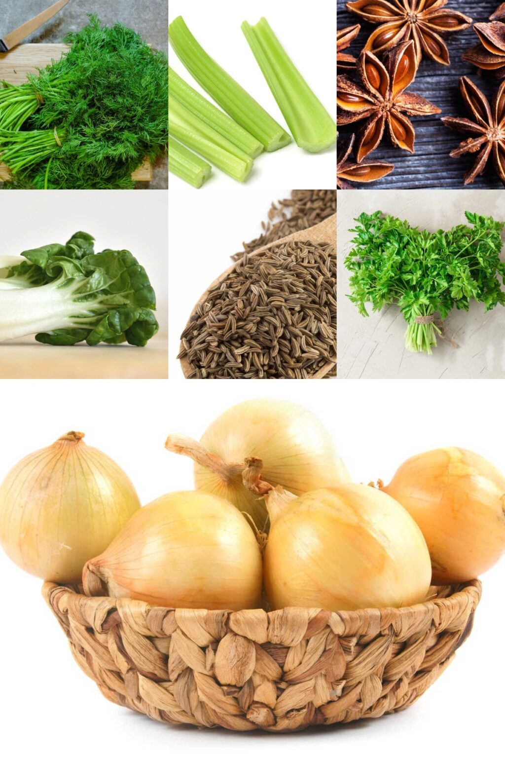 Fennel Substitutes Savor + Savvy