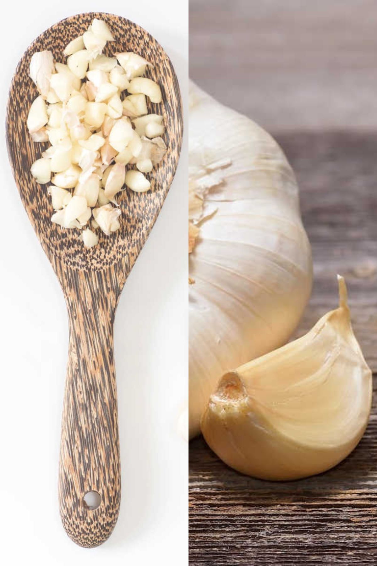 Garlic Clove Should You Grow Garlic The Beginner s Garden