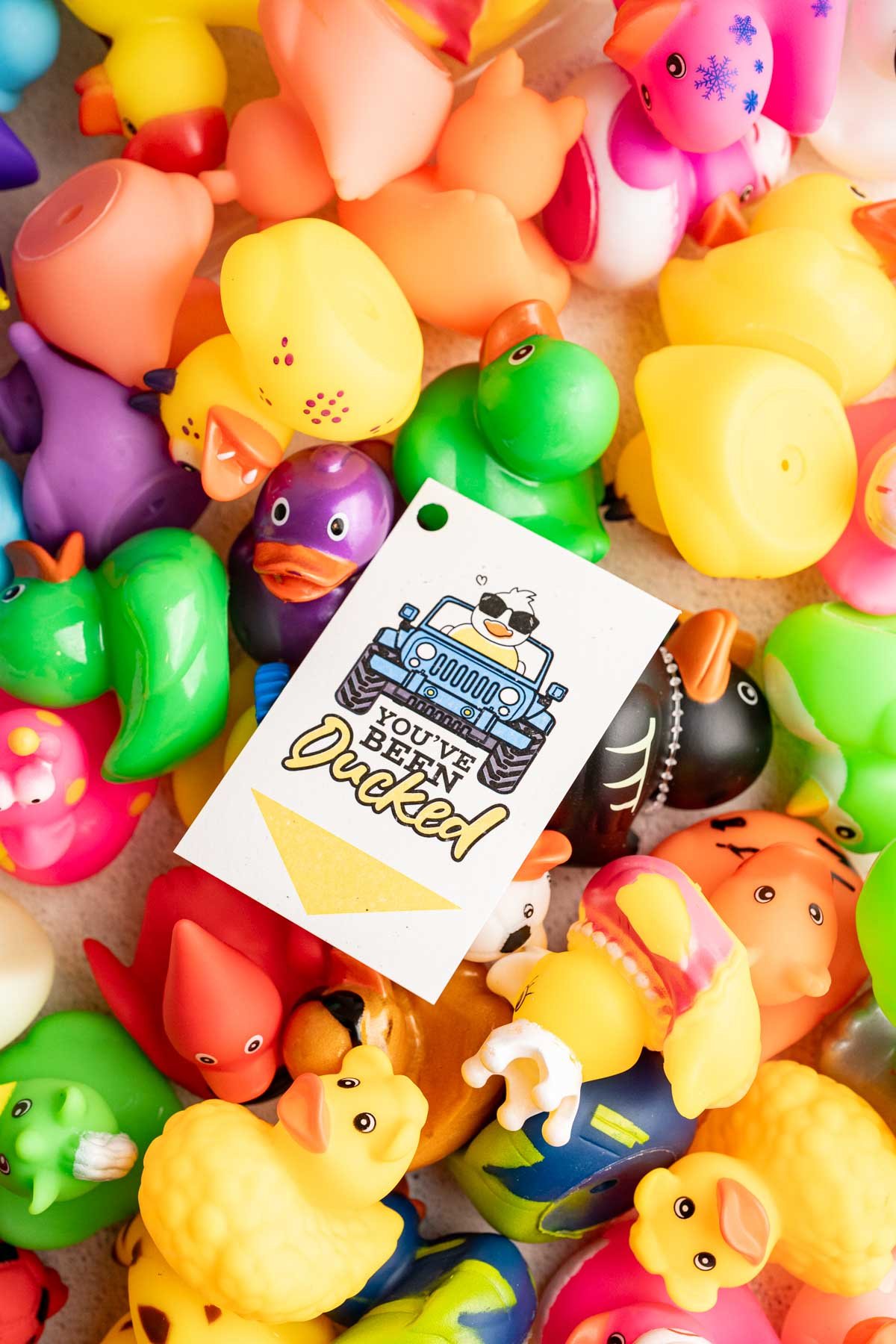 pile of colorful rubber ducks with a tag that notes you've been ducked!