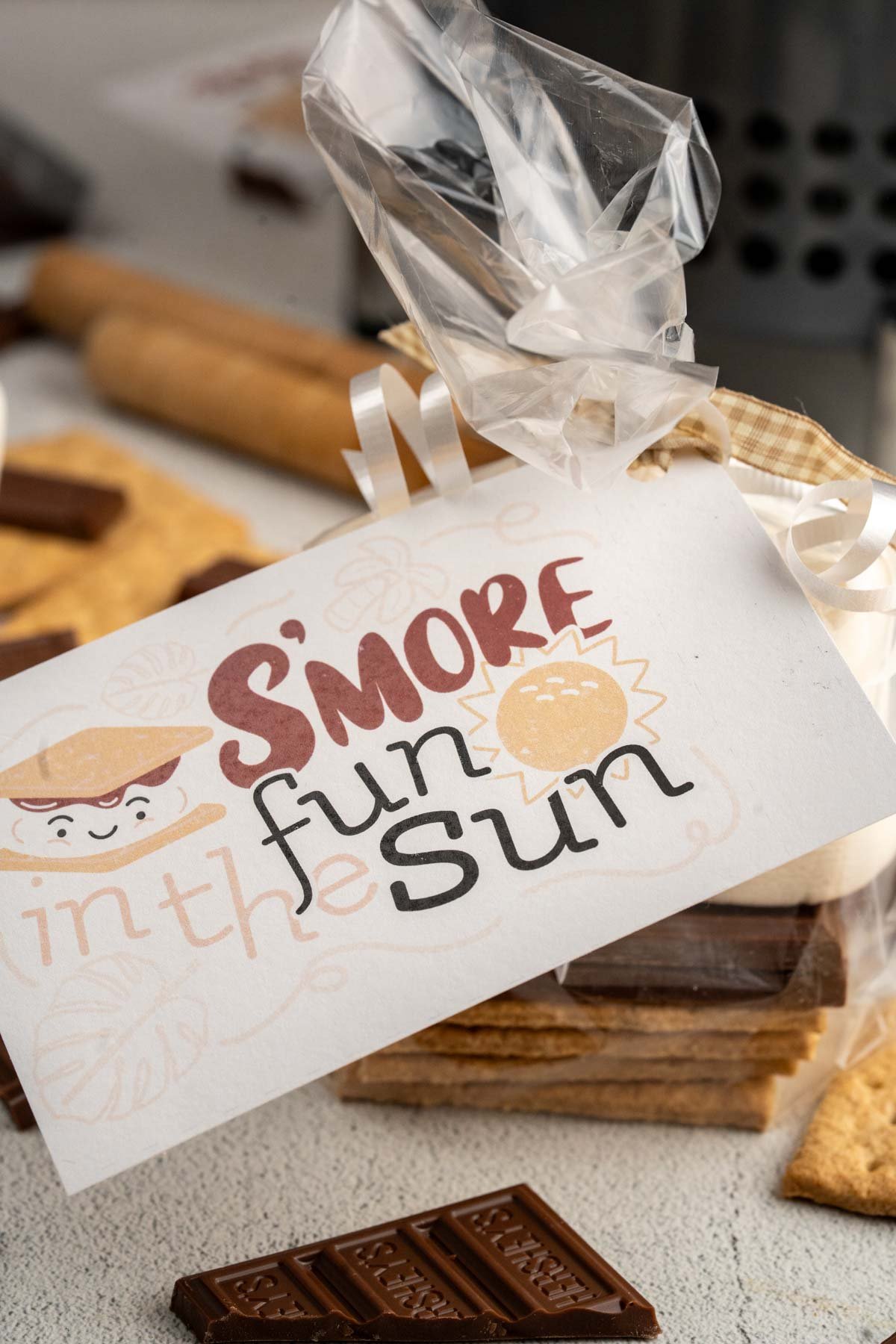 "S'more fun in the sun" gift tag attached to a S'more gift bag.